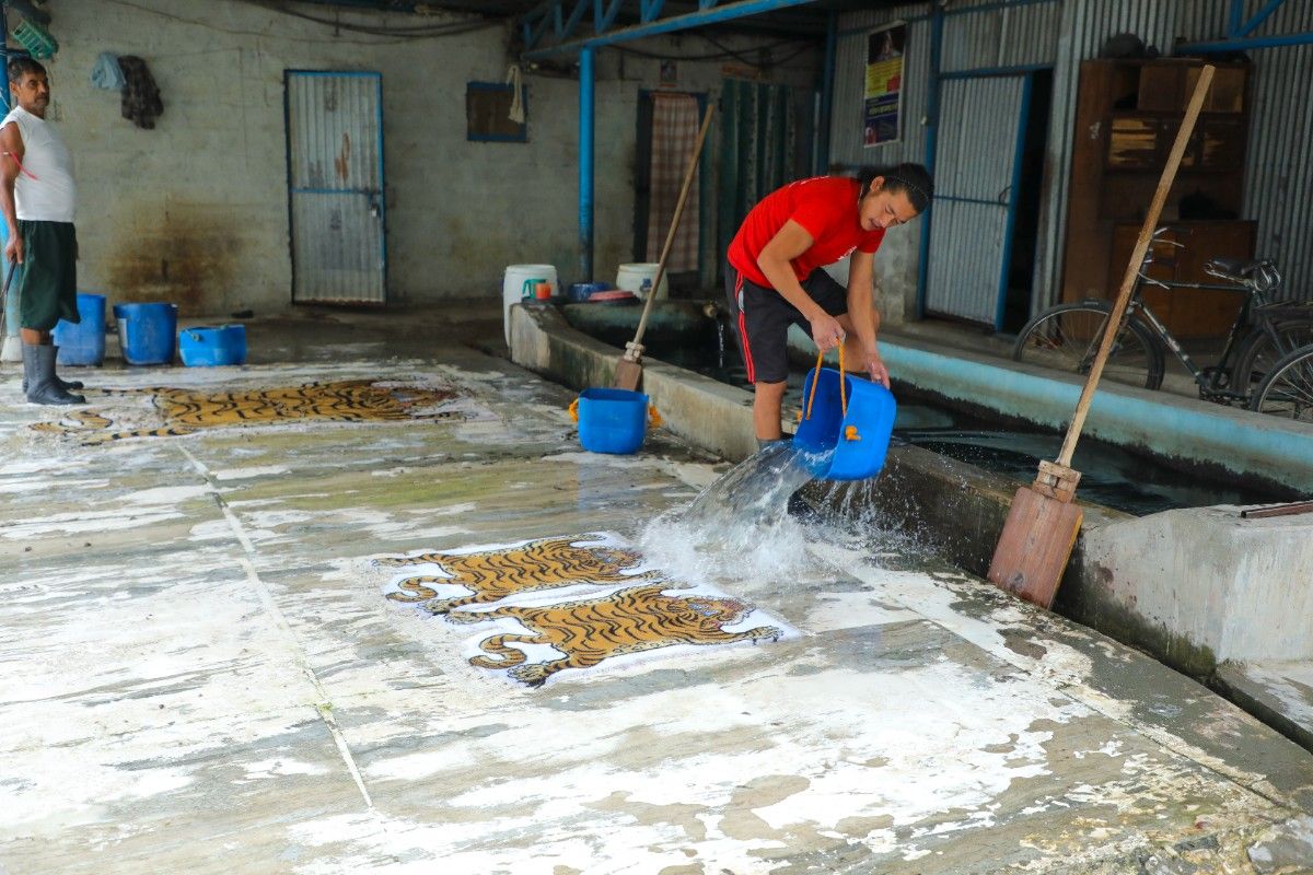 Historical Reproductions